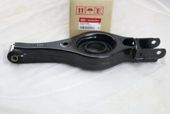 552202S100 ARM COMPLETE-RR LWR,RH