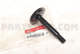 552404E600 PIN-SPRING