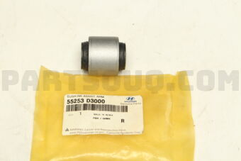 55253D3000 BUSH-RR ASSIST ARM