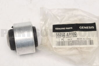 55258AR100 BUSH-RR ASSIST ARM