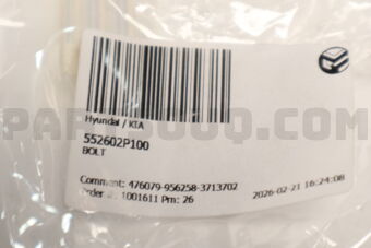 552602P100 BOLT