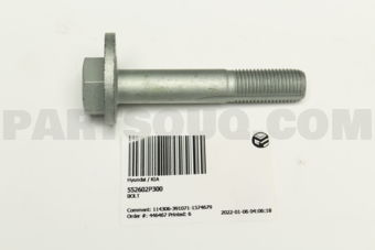 552602P300 BOLT