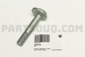 552602P300 BOLT