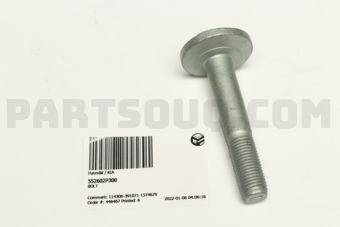 552602P300 BOLT