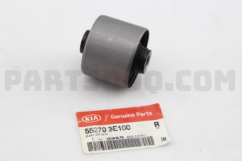 552703E100 BUSH-UPR ARM