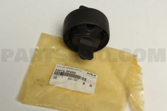 552752P200 BUSH-RR TRAILING ARM
