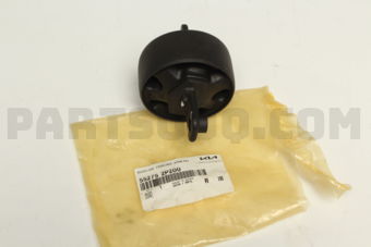 552752P200 BUSH-RR TRAILING ARM