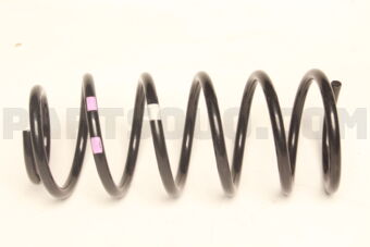 553301R060 SPRING-RR