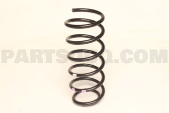 553301R060 SPRING-RR