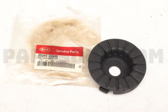 553413S000 PAD-RR SPR