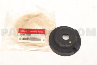 553413S000 PAD-RR SPR