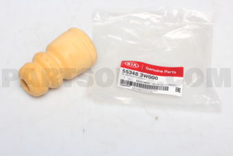 553483W000 BUMPR-RR SPRING