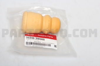 553483W000 BUMPR-RR SPRING
