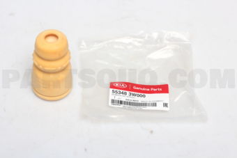 553483W000 BUMPR-RR SPRING