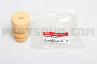553483W000 BUMPR-RR SPRING
