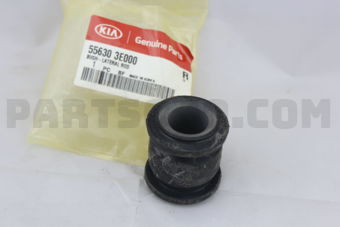 556303E000 BUSH