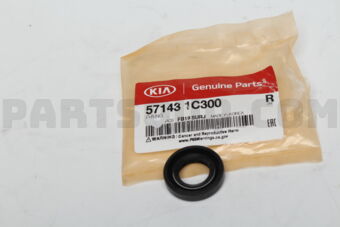571431C300 O-RING