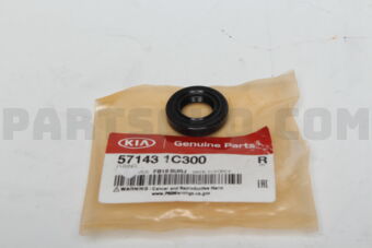 571431C300 O-RING