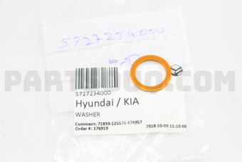 5727234000 WASHER