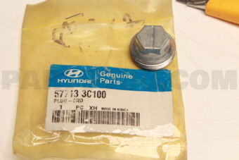 577133C100 PLUG-END