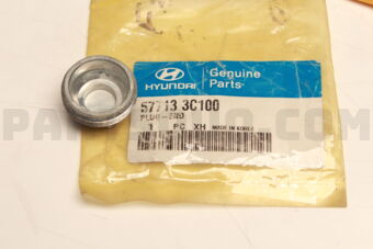577133C100 PLUG-END