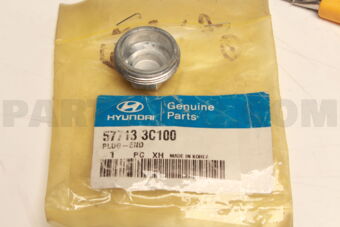 577133C100 PLUG-END