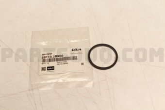 581133B900 SEAL-PISTON