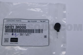 581213R000 CAP-BLEEDER SCREW
