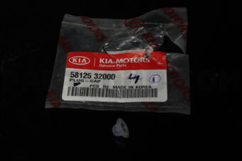 5812532000 PLUG-CAP