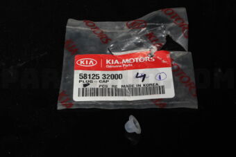 5812532000 PLUG-CAP