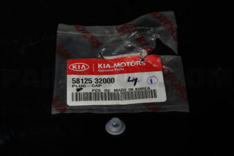 5812532000 PLUG-CAP