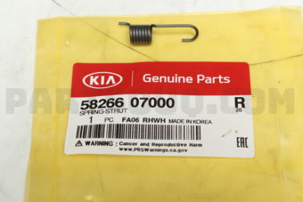5826607000 SPRING-STRUT