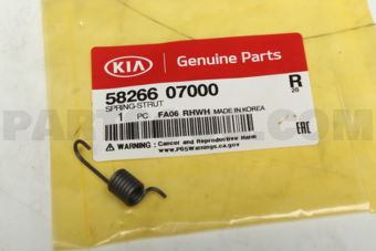 5826607000 SPRING-STRUT