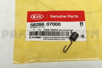 5826607000 SPRING-STRUT