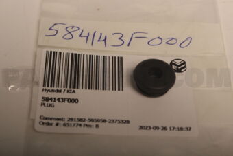 584143F000 Hyundai / KIA PLUG