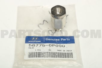 587750P000 VALVE