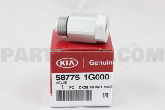 587751G000 VALVE