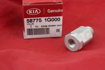 587751G000 VALVE