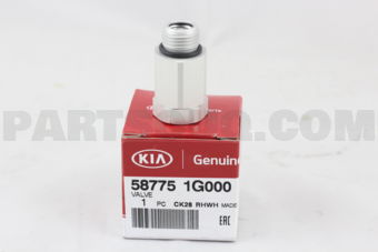 587751G000 VALVE