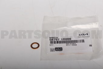 587971R000 GASKET(10)