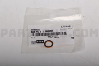 587971R000 GASKET(10)