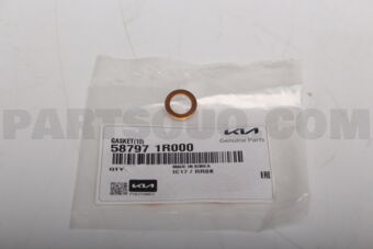 587971R000 GASKET(10)