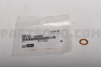 587971R000 GASKET(10)