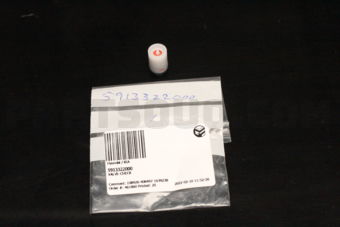5913322000 VALVE-CHECK