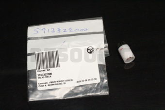 5913322000 VALVE-CHECK