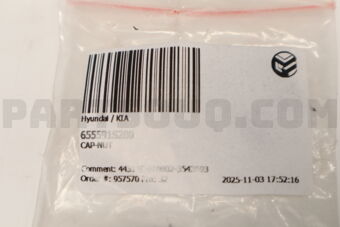 655591S200 CAP-NUT
