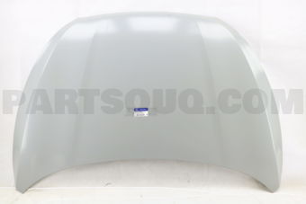 664002S001 PANEL ASSY-HOOD