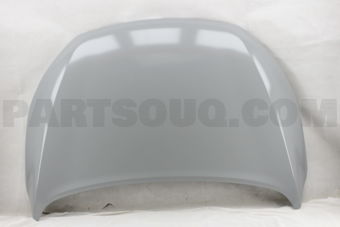 66400C5000 PANEL ASSY-HOOD