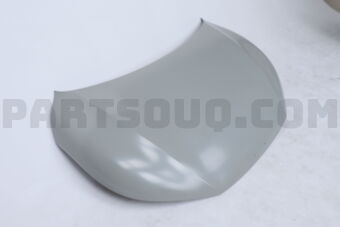 66400CV000 PANEL ASSY-HOOD