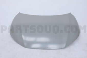 66400CV000 PANEL ASSY-HOOD